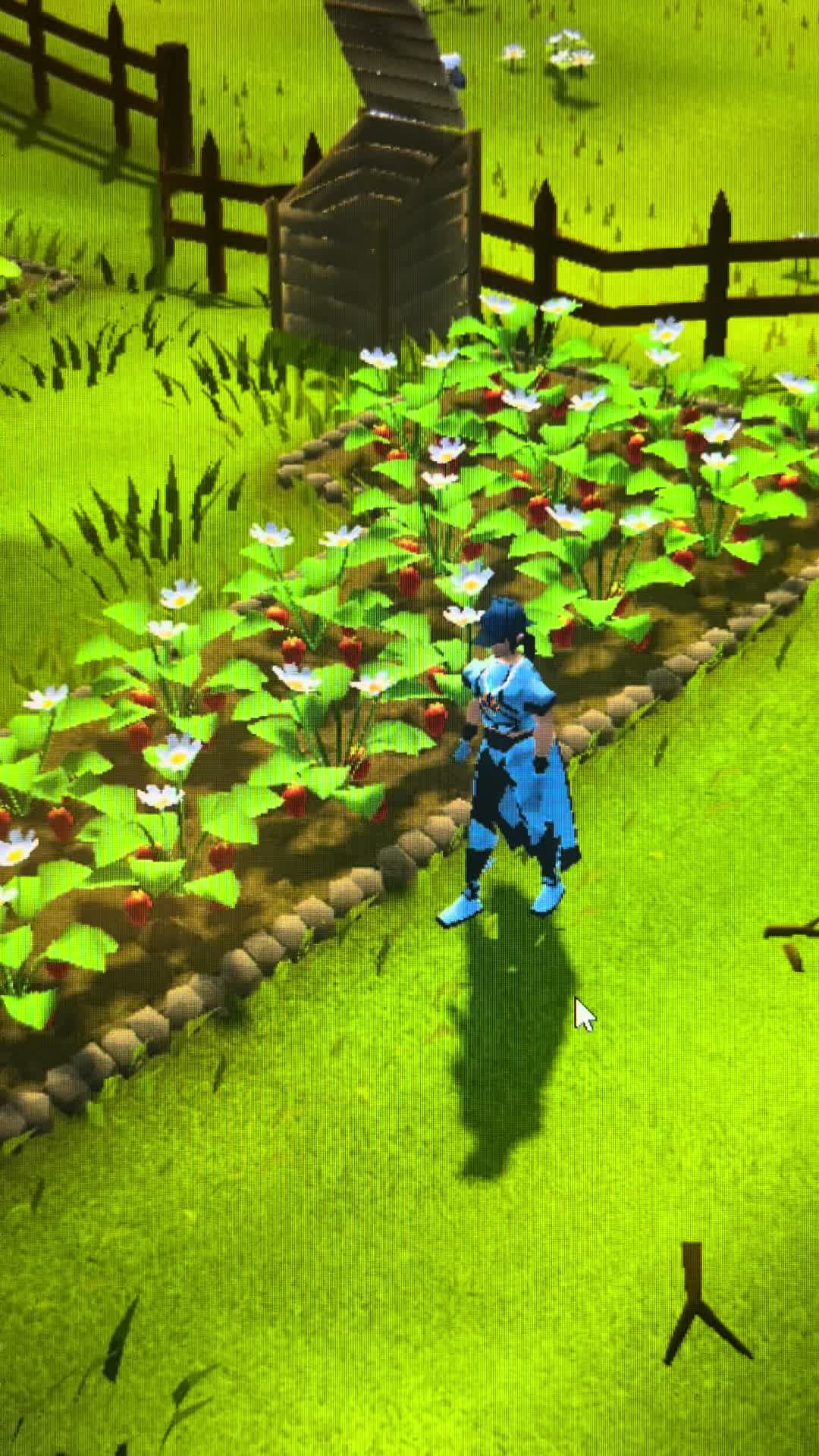 @chia.osrs