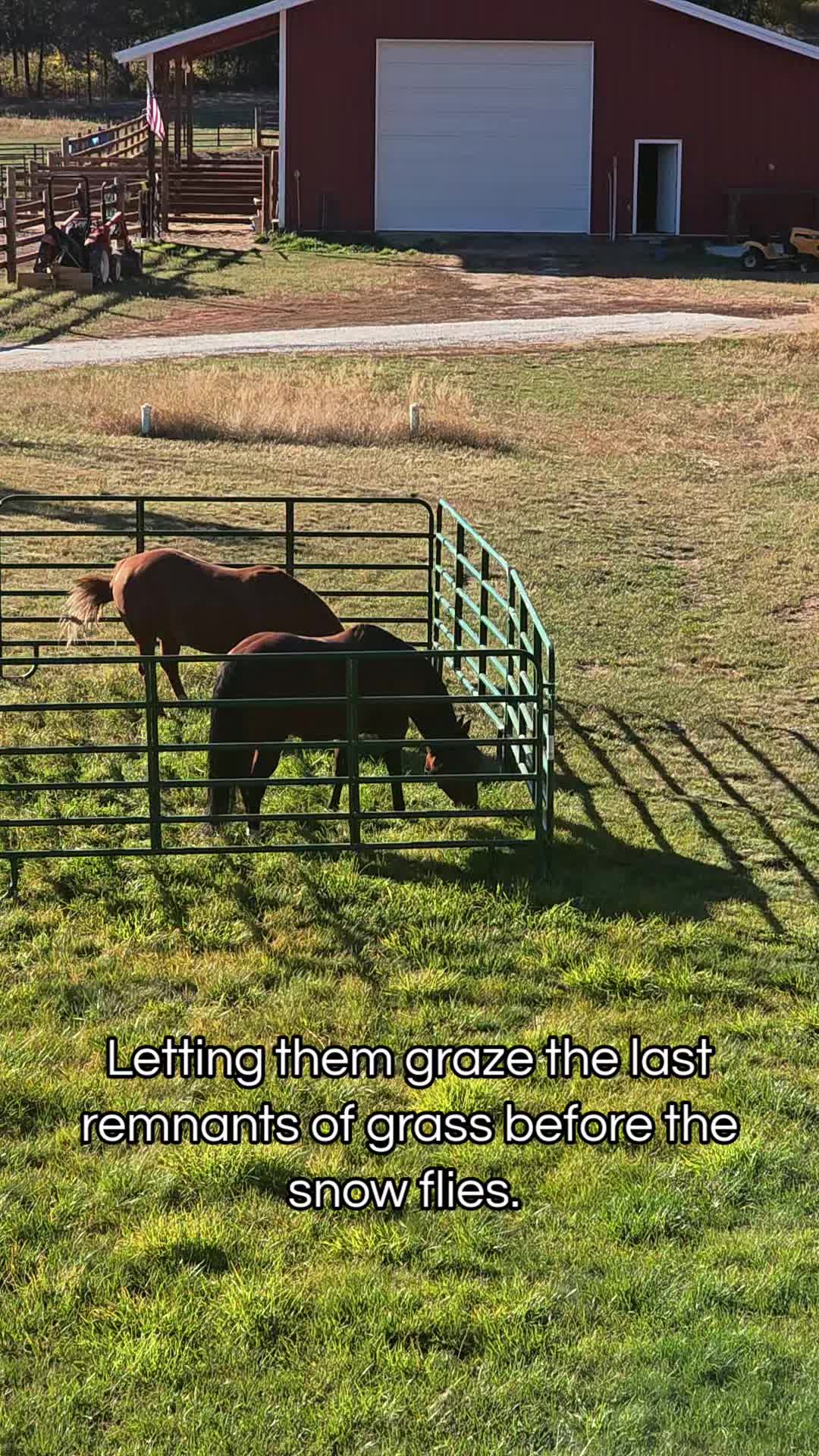 @🐴 ColdMountainRanch 🏇