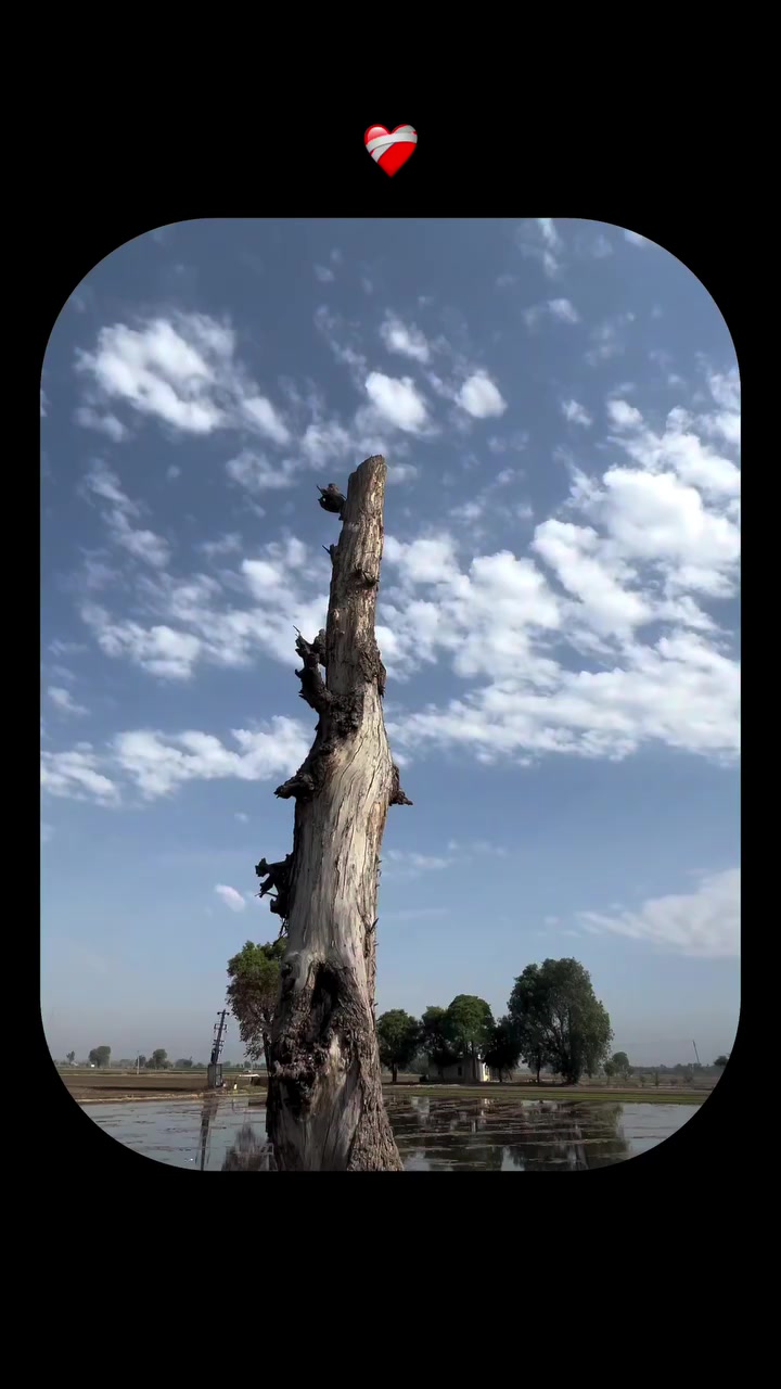 @ਓਹ ਕਹਿੰਦਾ 🌾