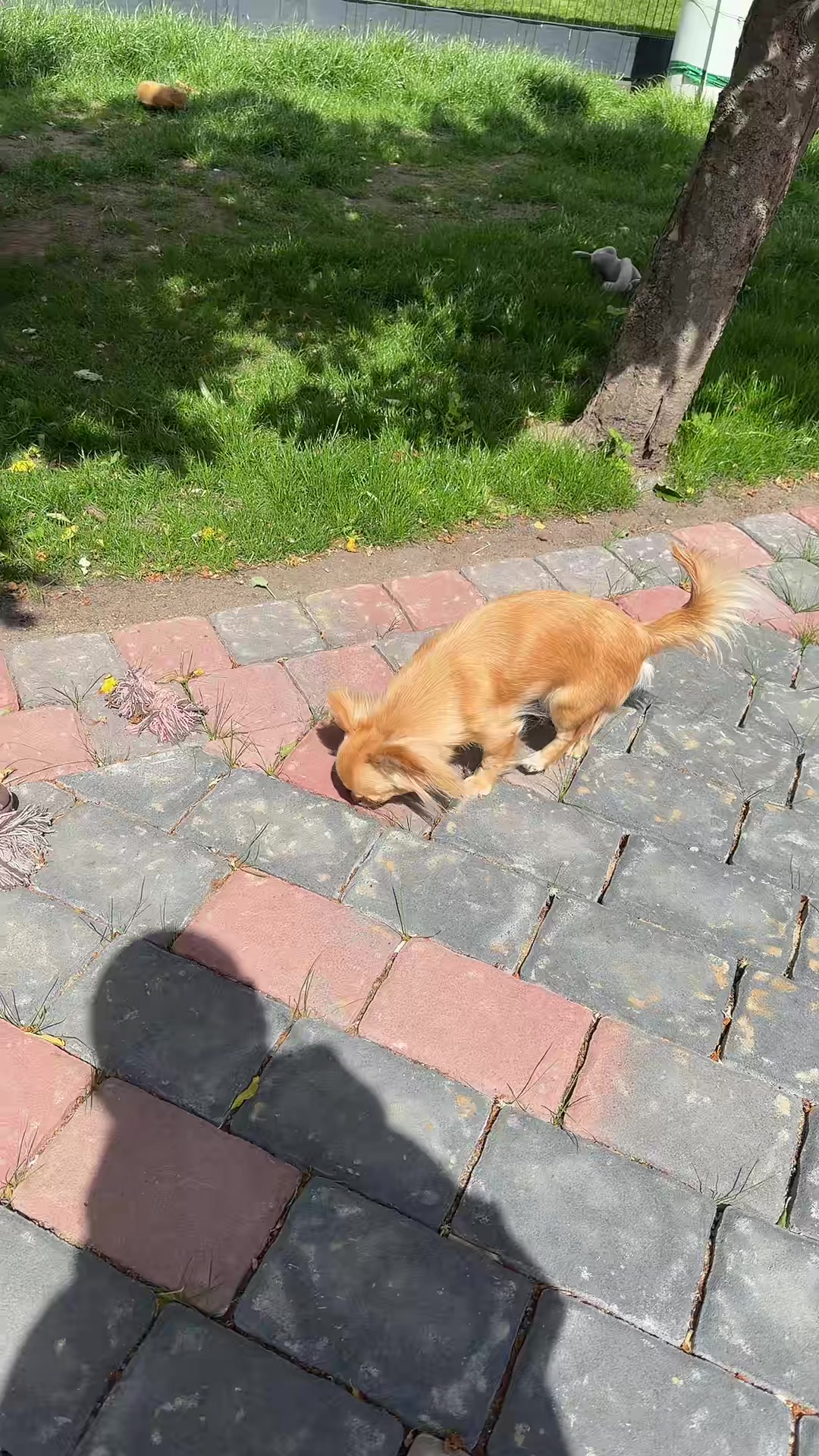 @Madita