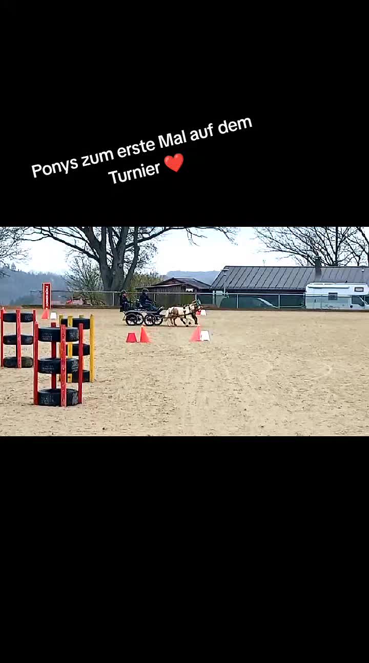 @💞🐴 Madeleine 🐴💞