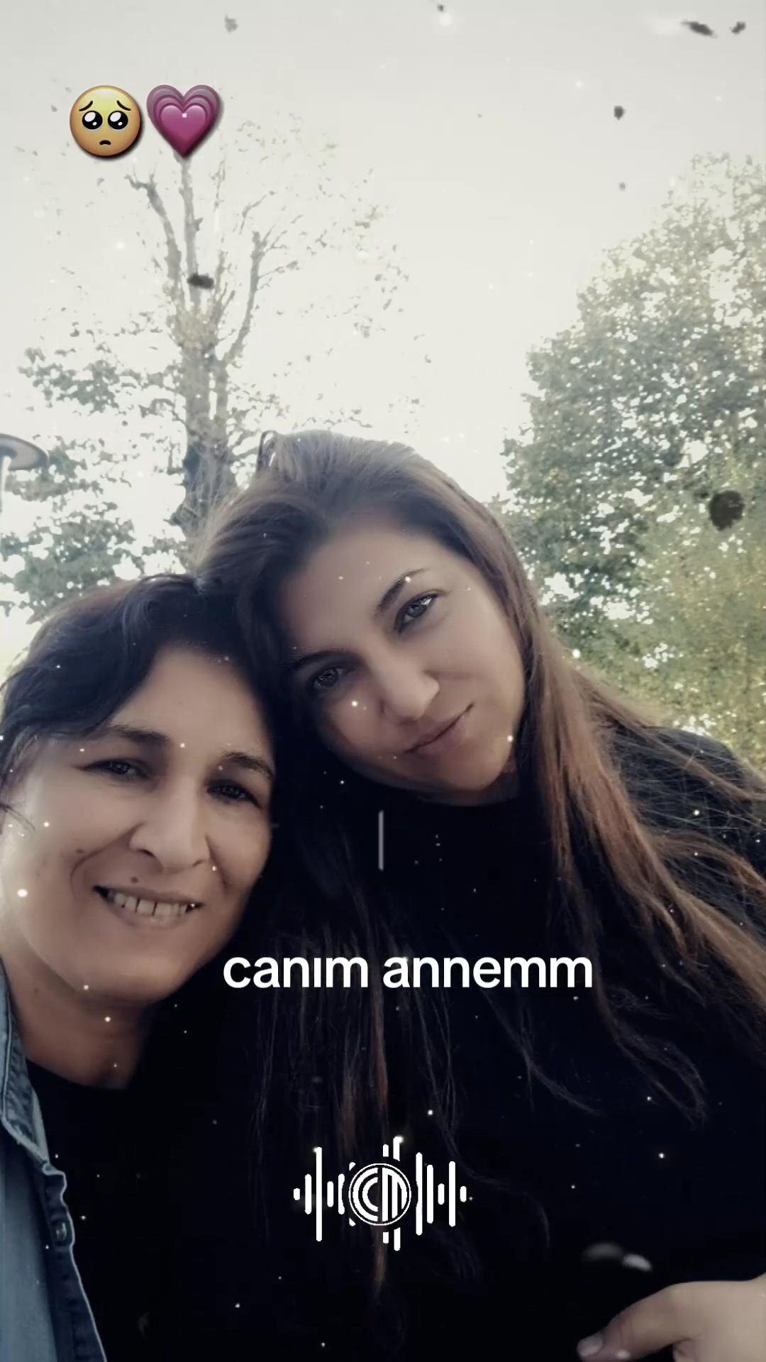 @hayalim 8181