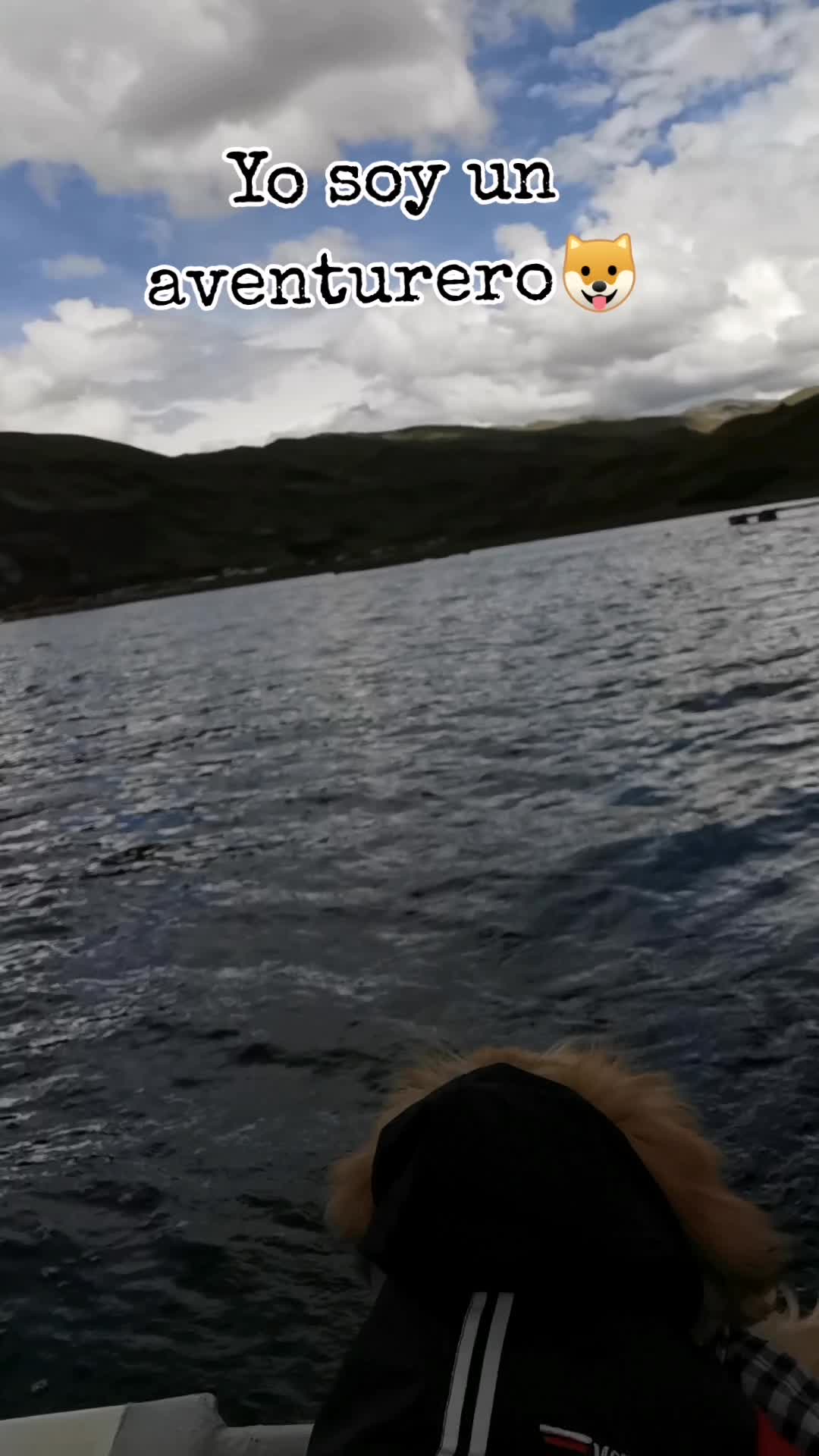 @paraqueveas👁️🐶