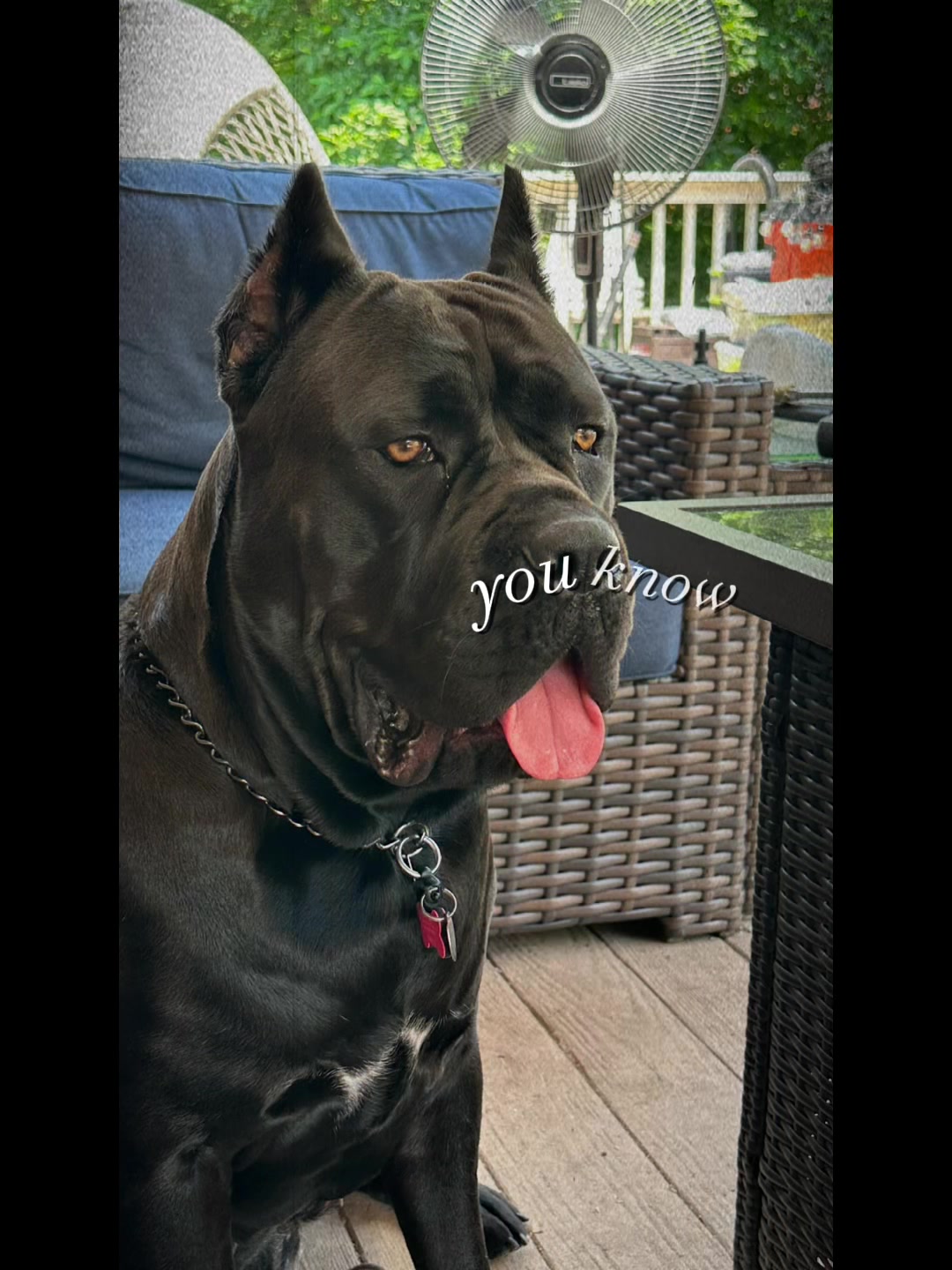 @Creed & Cersei