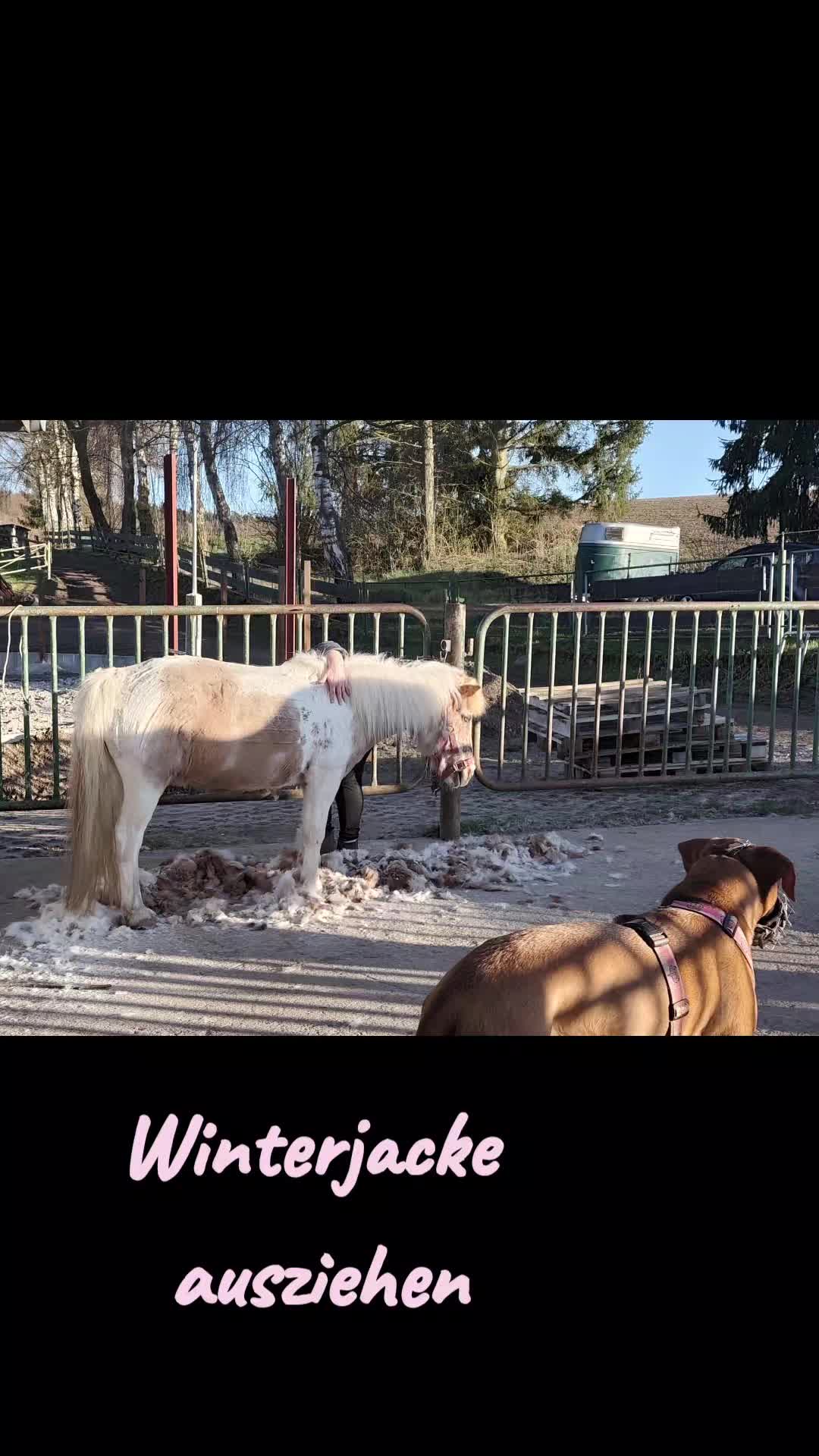 @Ponykids Freitagsgrund