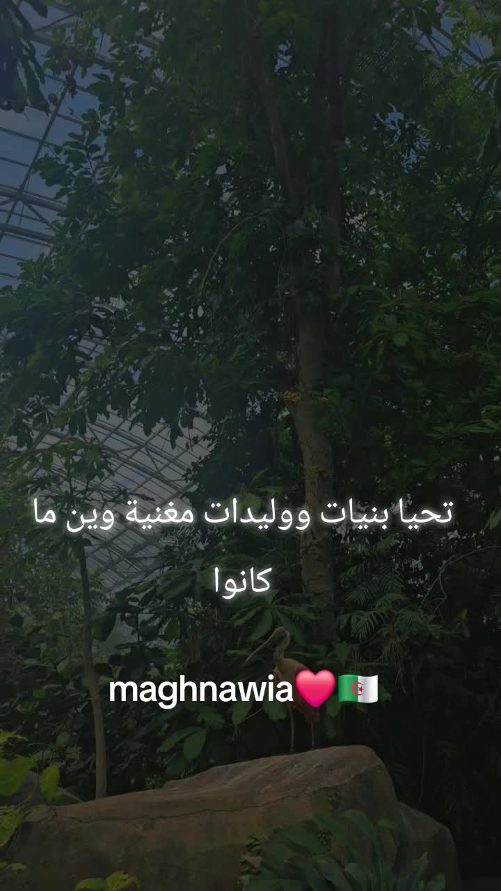@Maghnaouia 13🇩🇿❤️