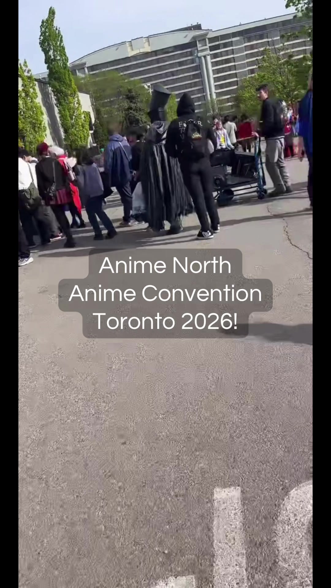 @Anime~Cøøkies