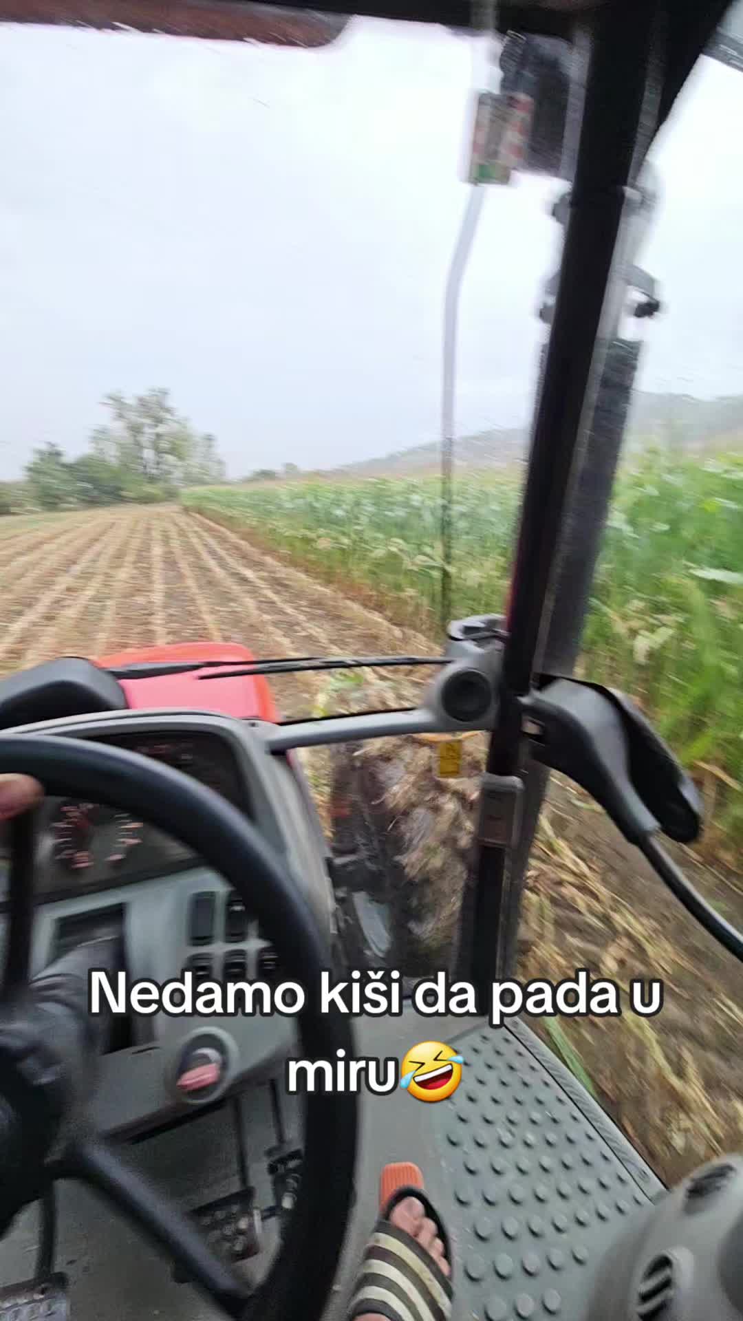 @Vid Hrust