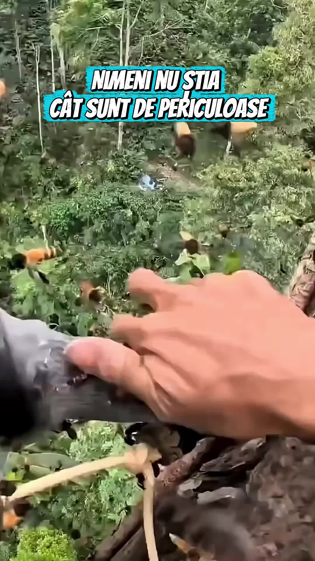 @Secretele Sănătății 💚