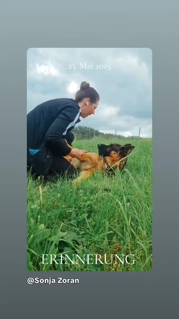 @Sonja Zoran