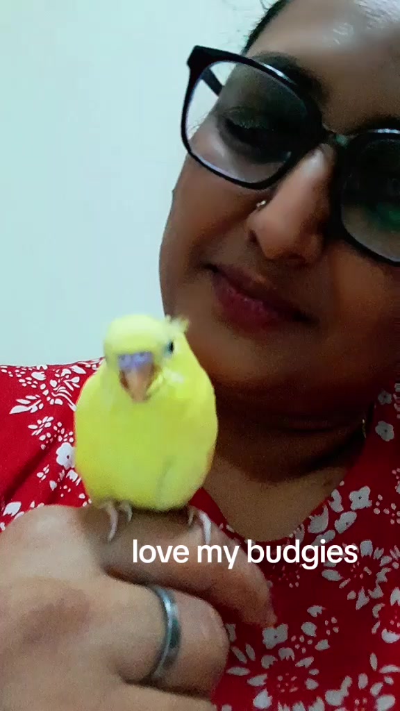 @Pahadi_Baandh