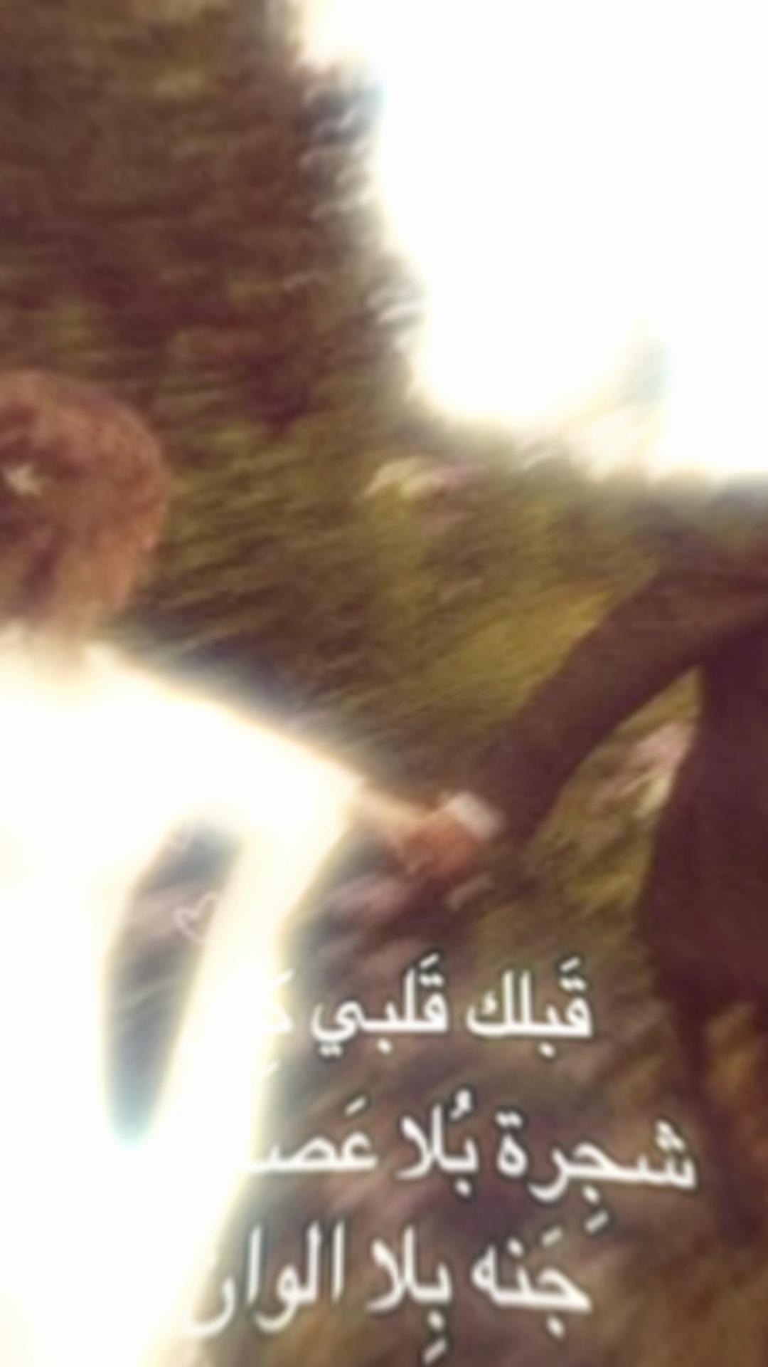 @Vilda makhoul
