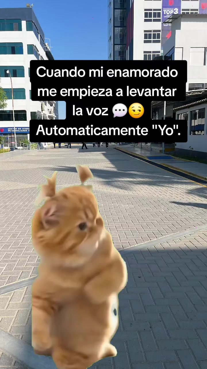 @Yasmin Tineo Tineo