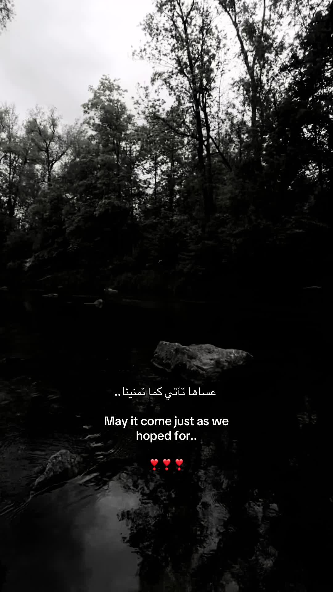 @هِبةً