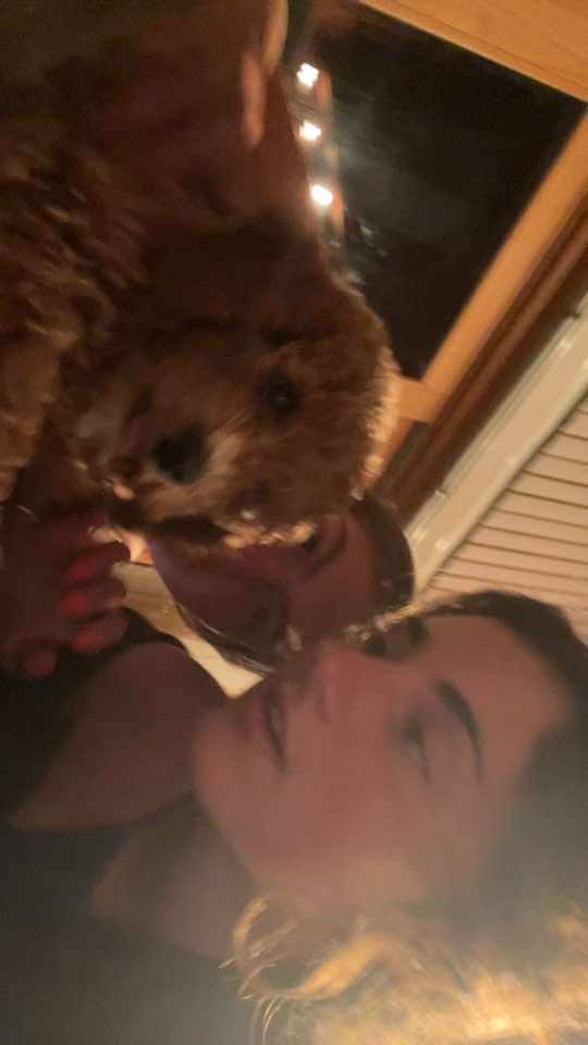 @lauren