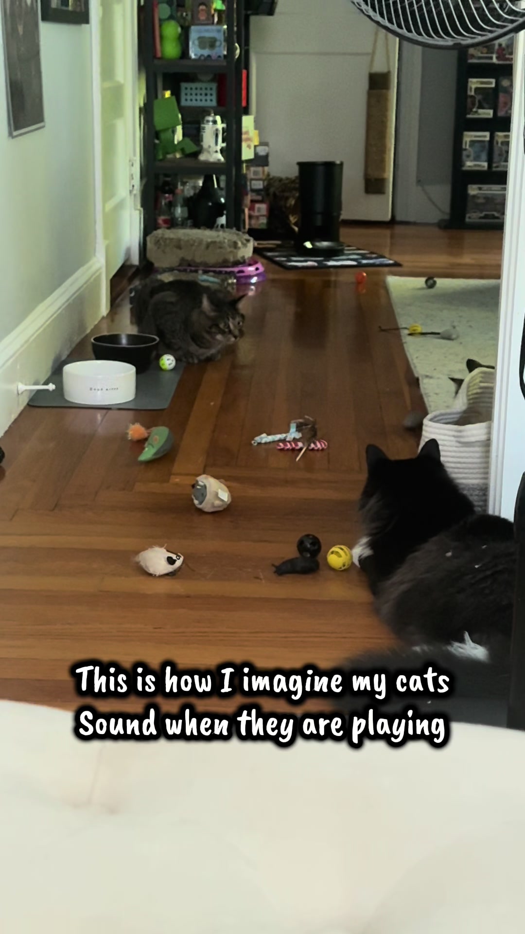 @TailsandWhiskersCo