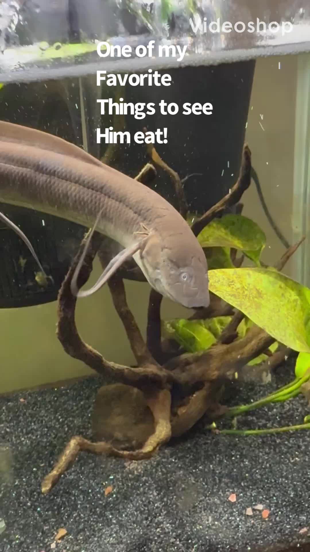 @fishdaddy2002