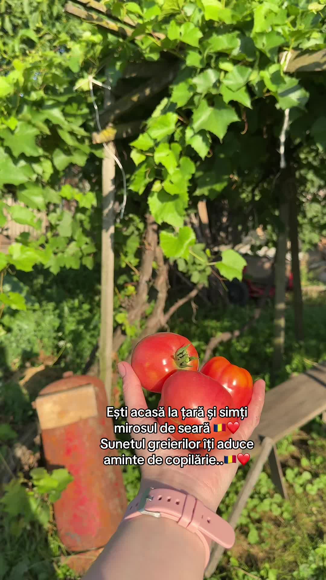 @Elena Popescu