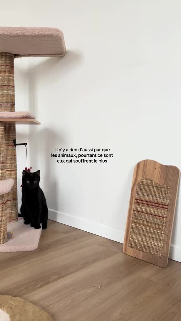 @𝖠𝖯𝖱𝖨𝖫 𝖠𝖱𝖨𝖠 𝖡𝖠𝖧𝖨𝖠