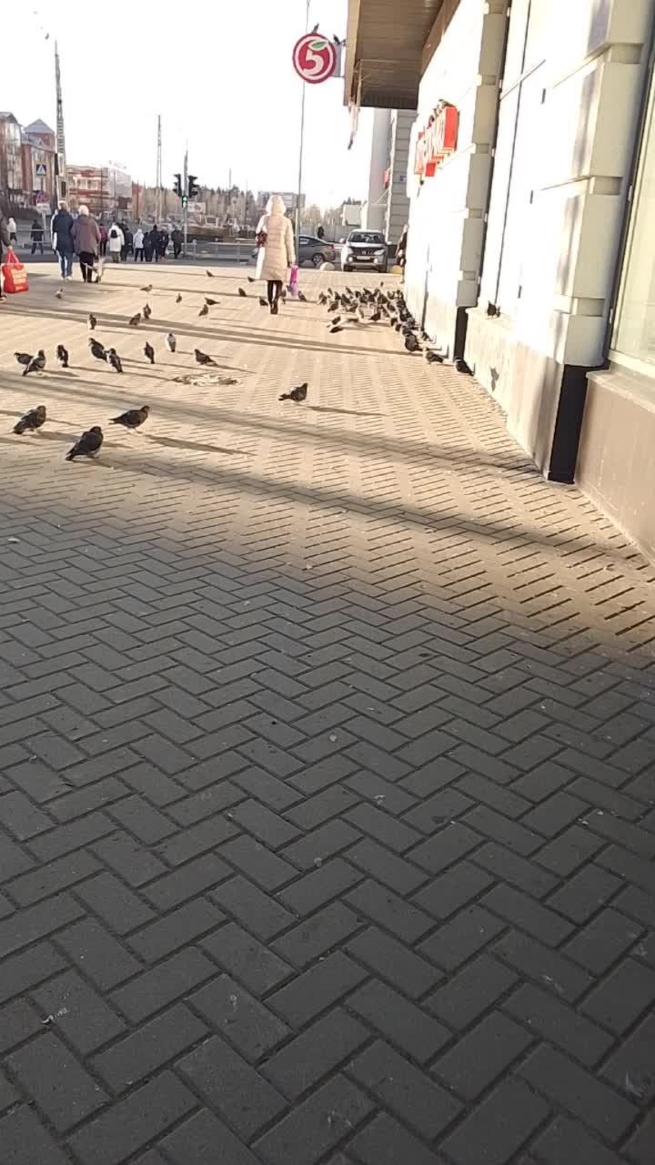 @Алик Карелия