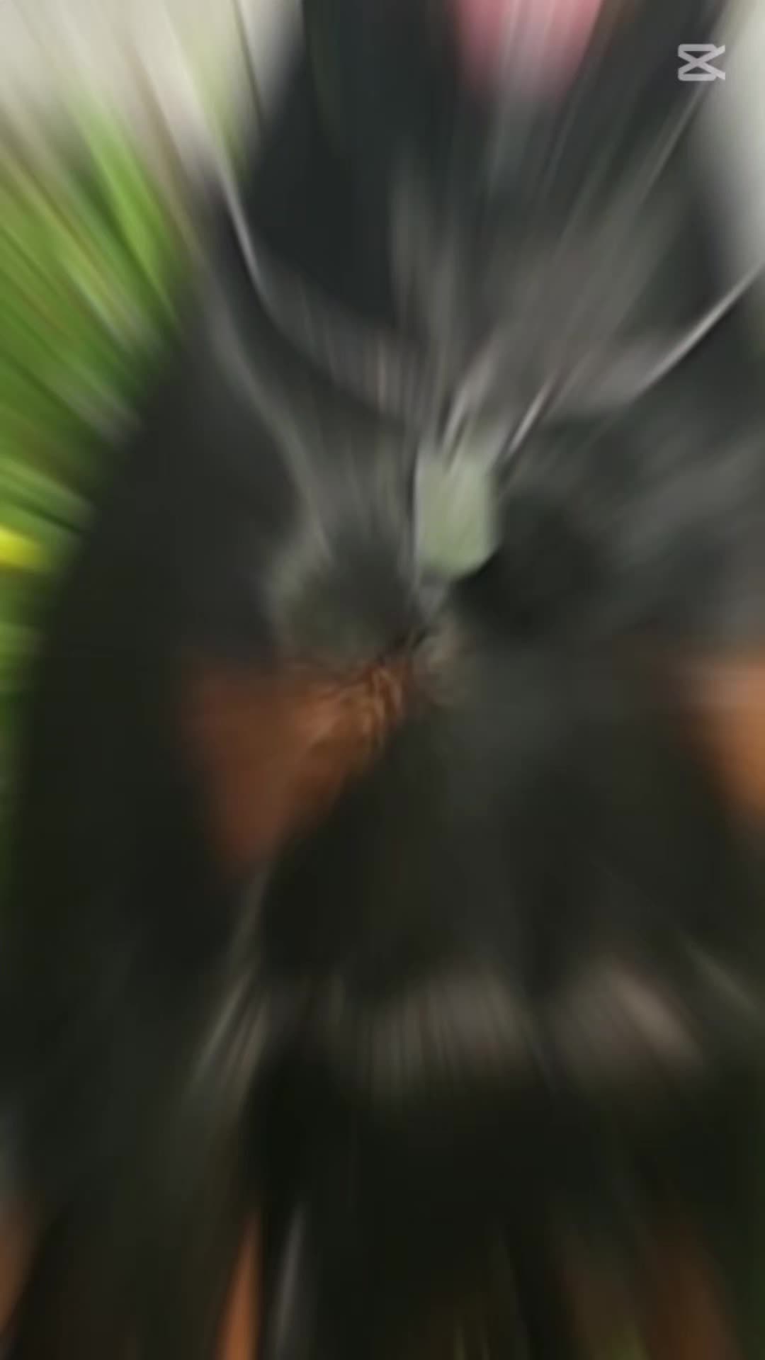 @Dario
