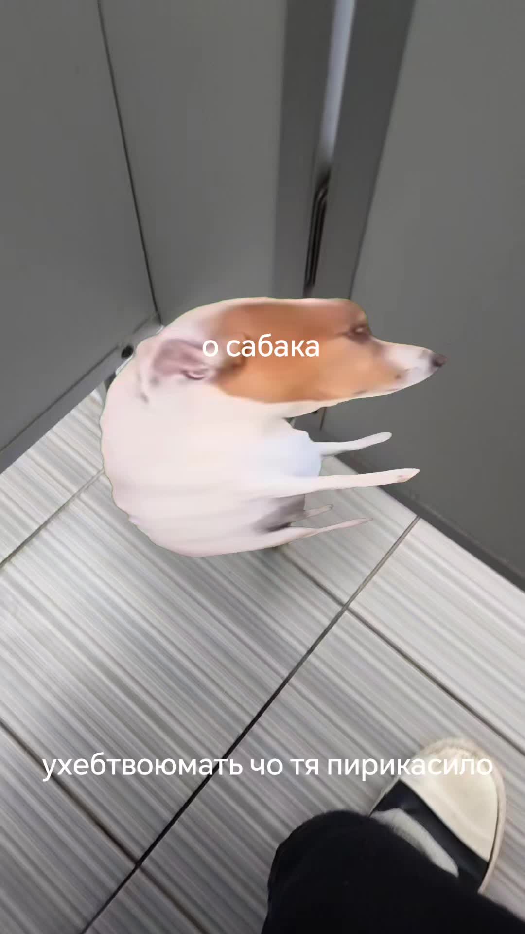 @𛂥𛁱𛂳