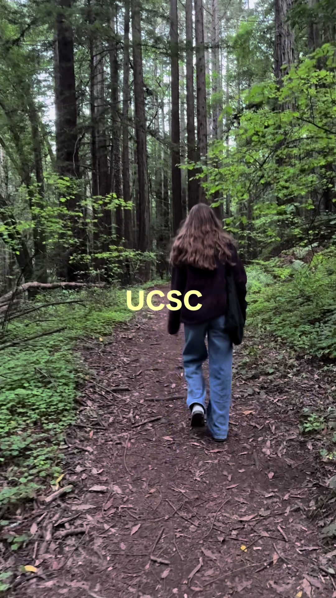 @bananer slug