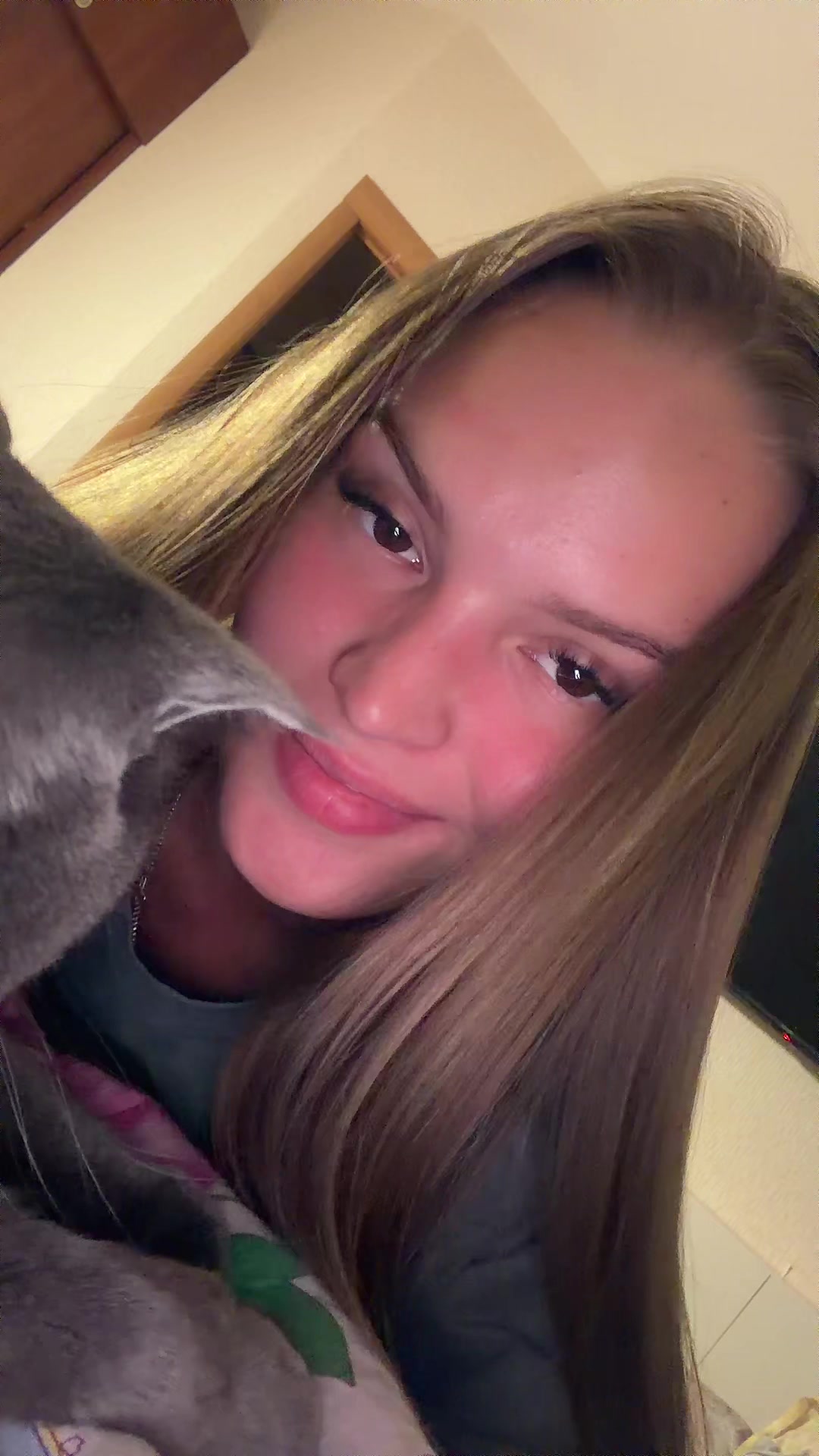@andreevasf20