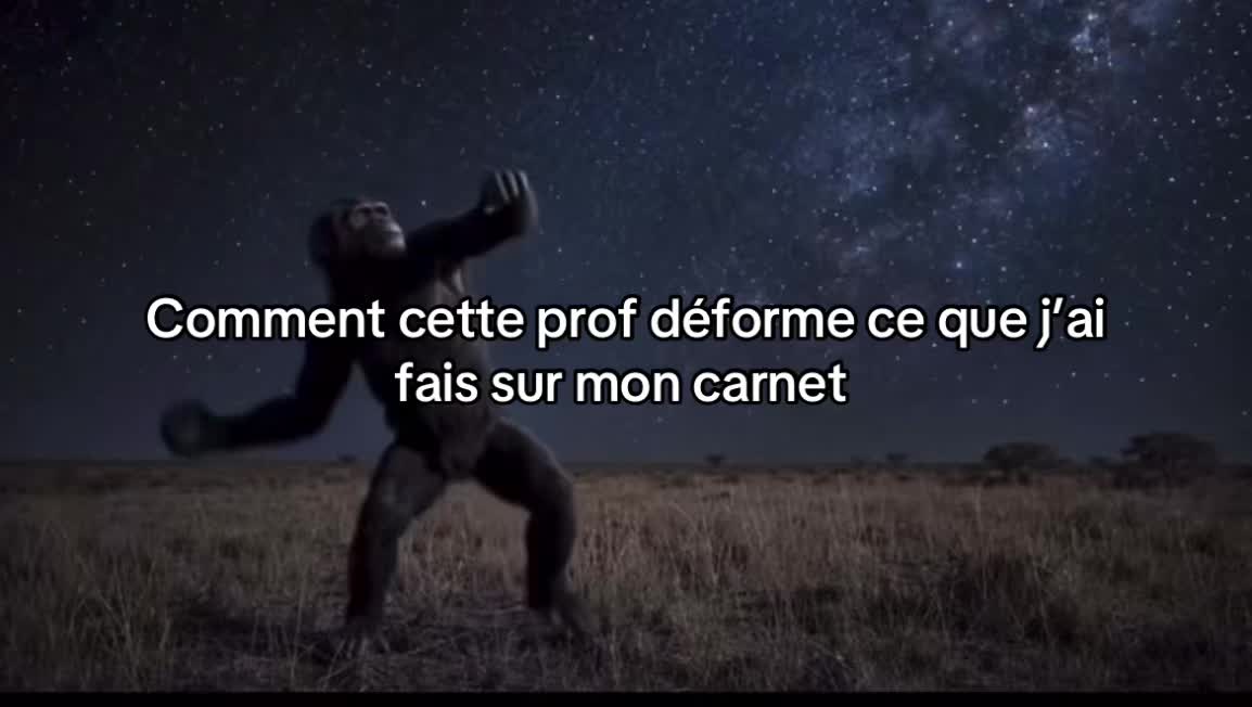 @Noryxen💫🪐