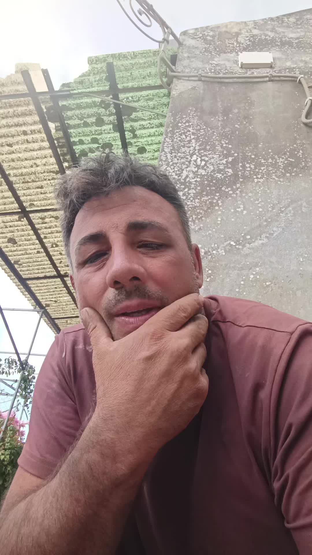 @gaetano