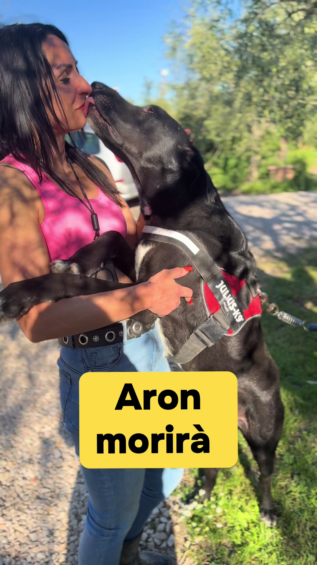 @Solo per amor loro 🐾🐾🐾🐾