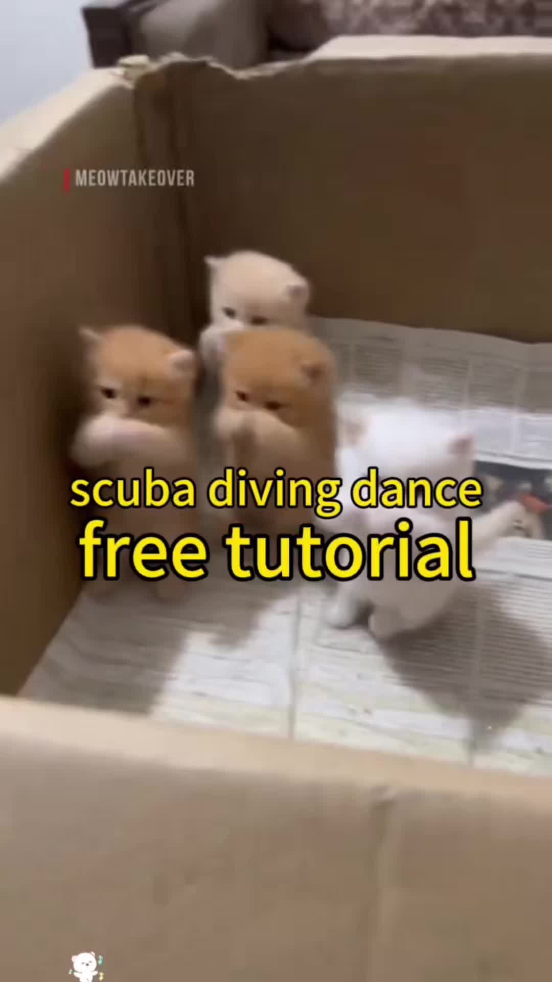 @duna