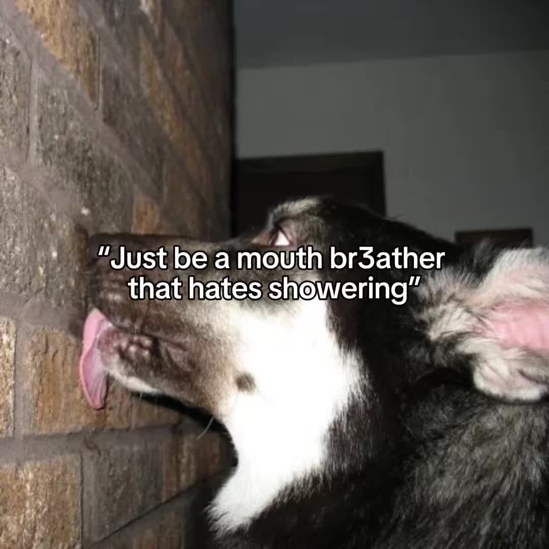 @alf