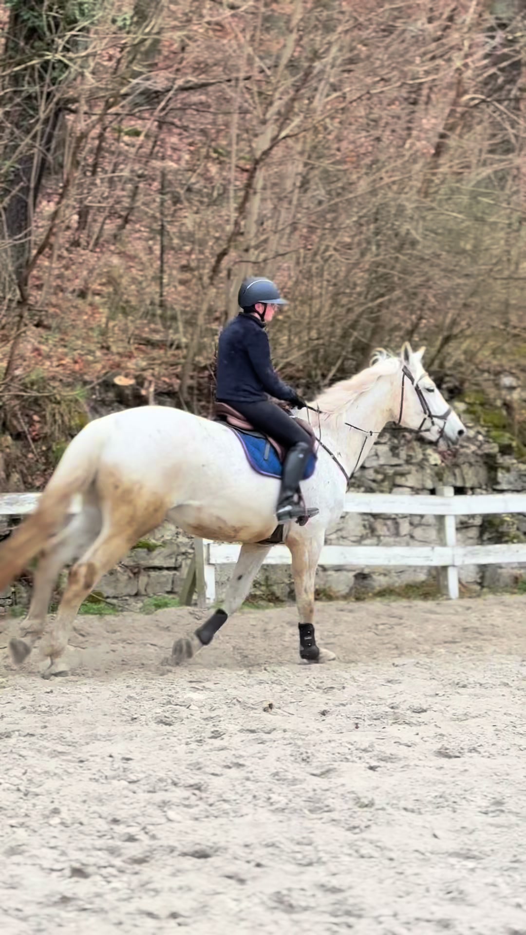 @🐴💗TA OD BELLI I ARY💗🐴