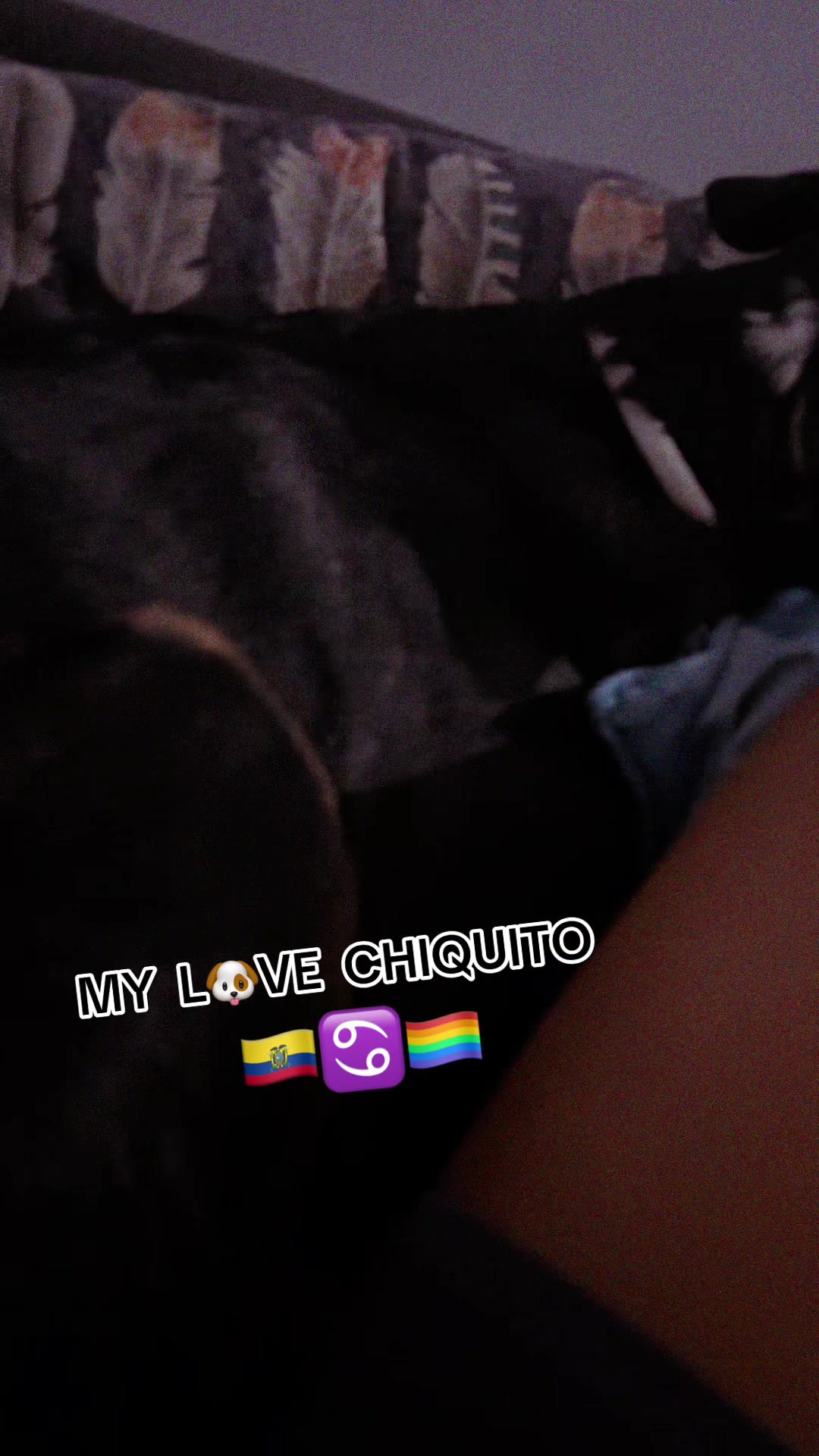 @🇪🇨♋️Emi🏳️🌈