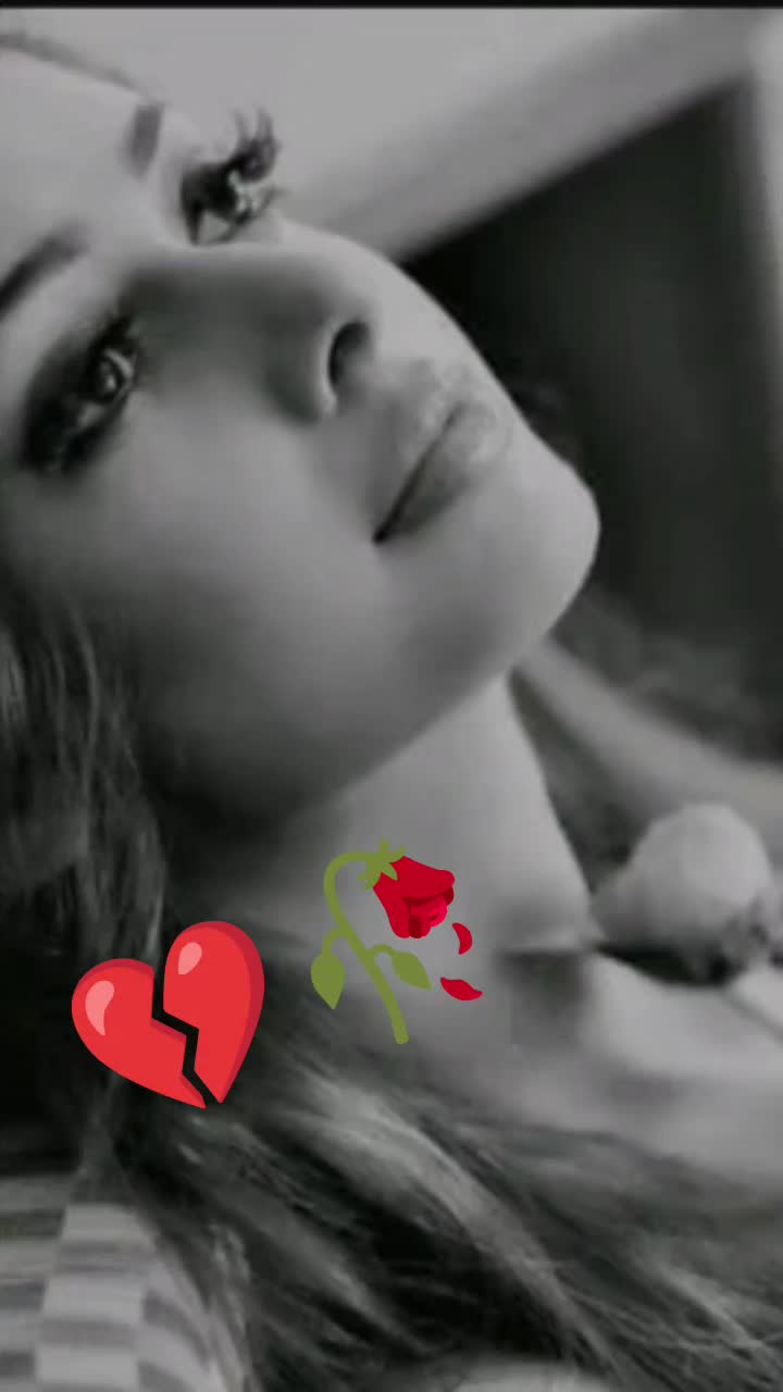 @♌Leyla♌
