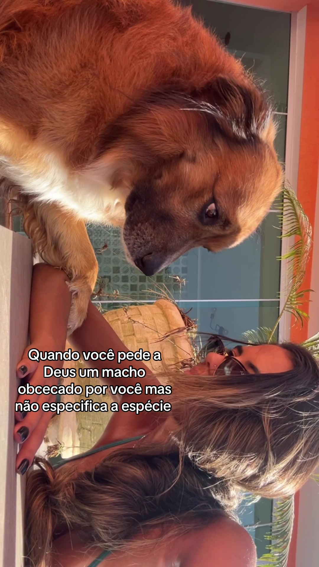 @Thamara Nunes