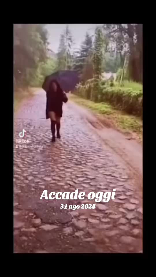 @✨🐍..❤️🩹FrancyRyan..❤️🩹🐍✨