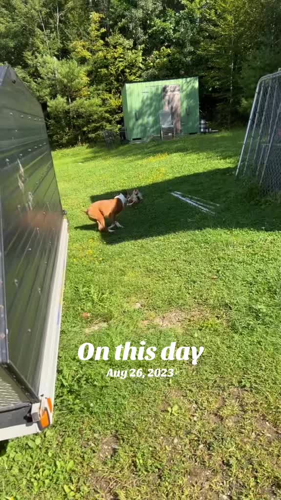 @Arcticcatmatt