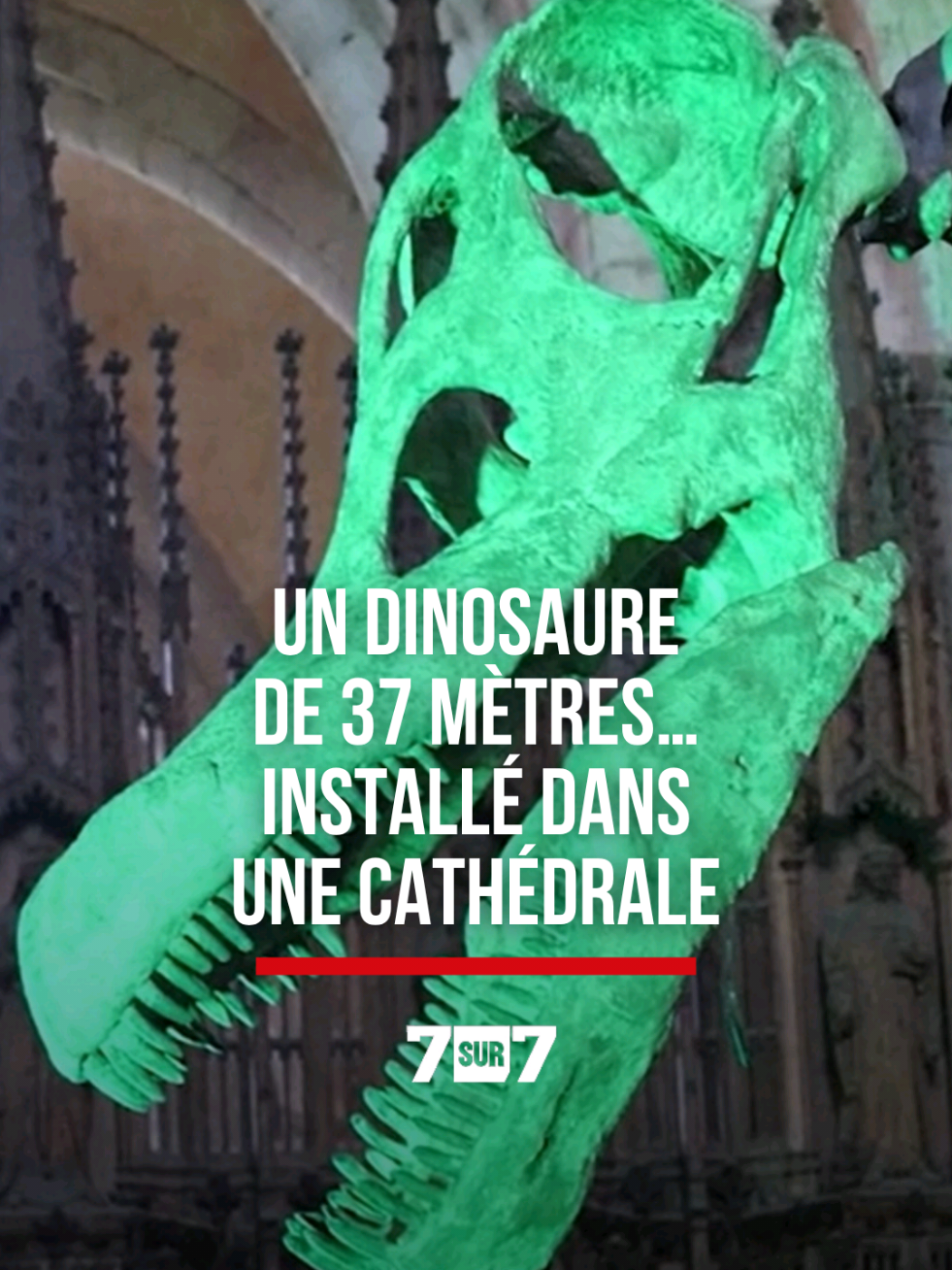 @7sur7.be