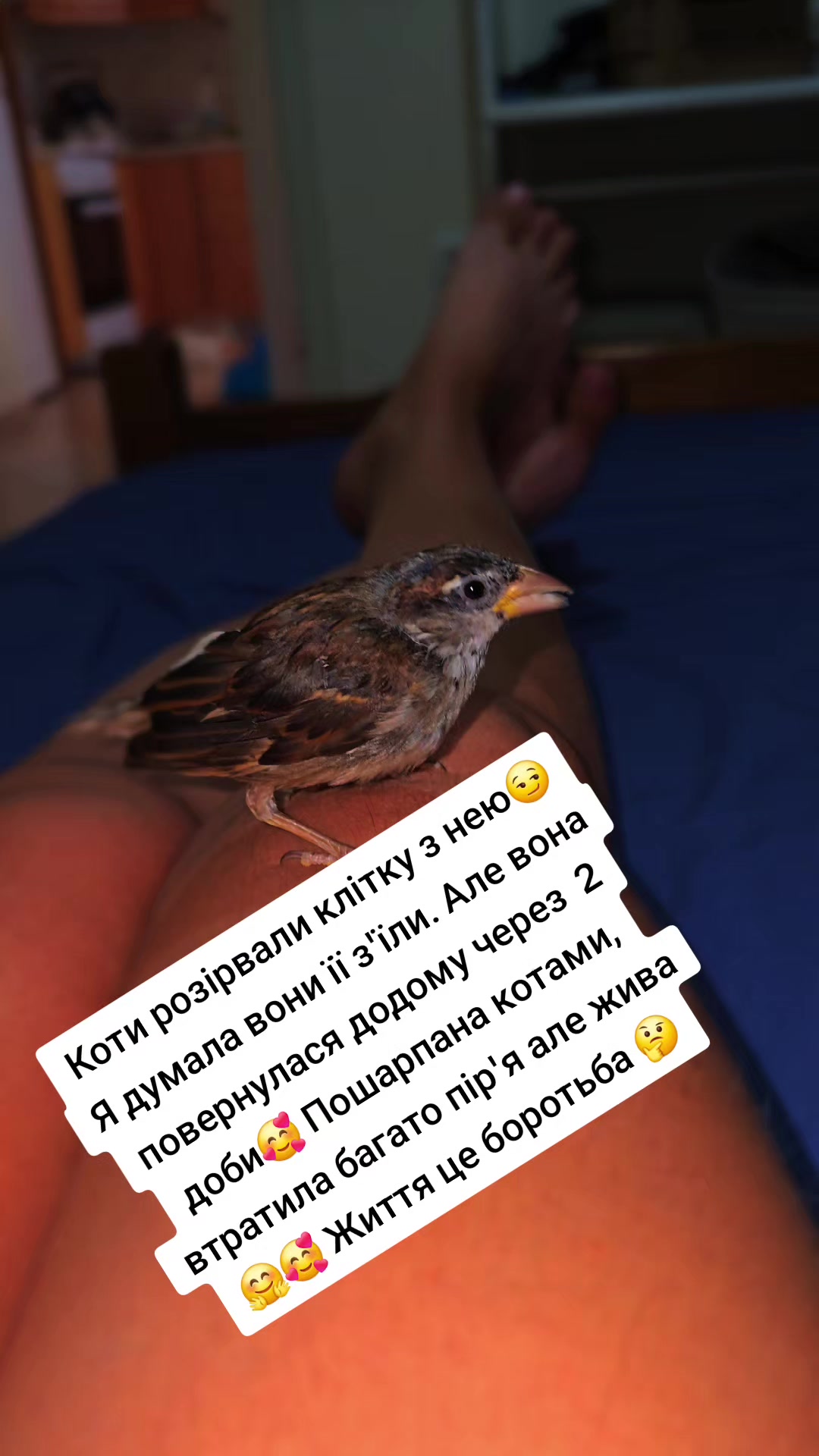 @🇺🇦🇬🇷