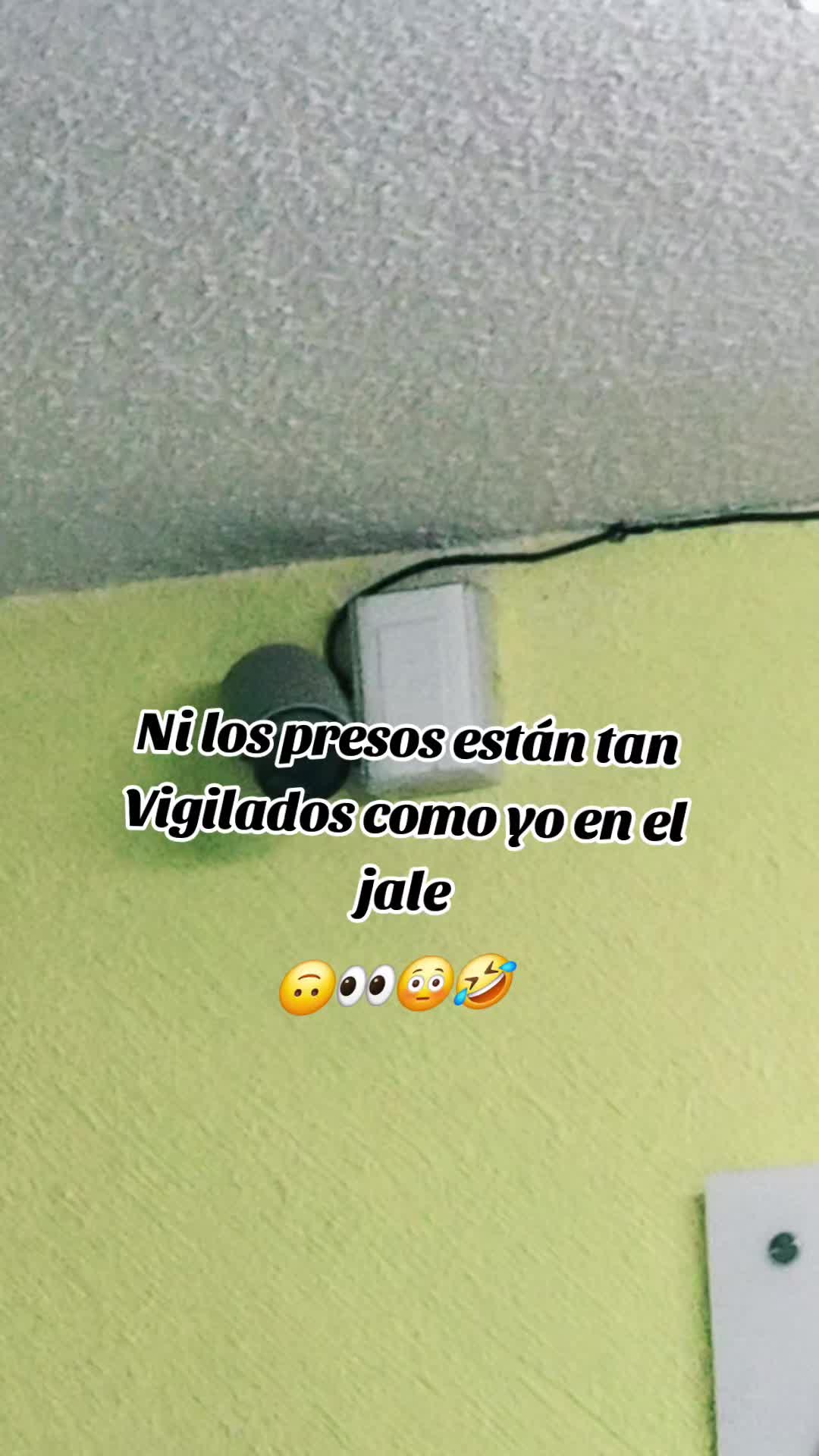 @daniavega