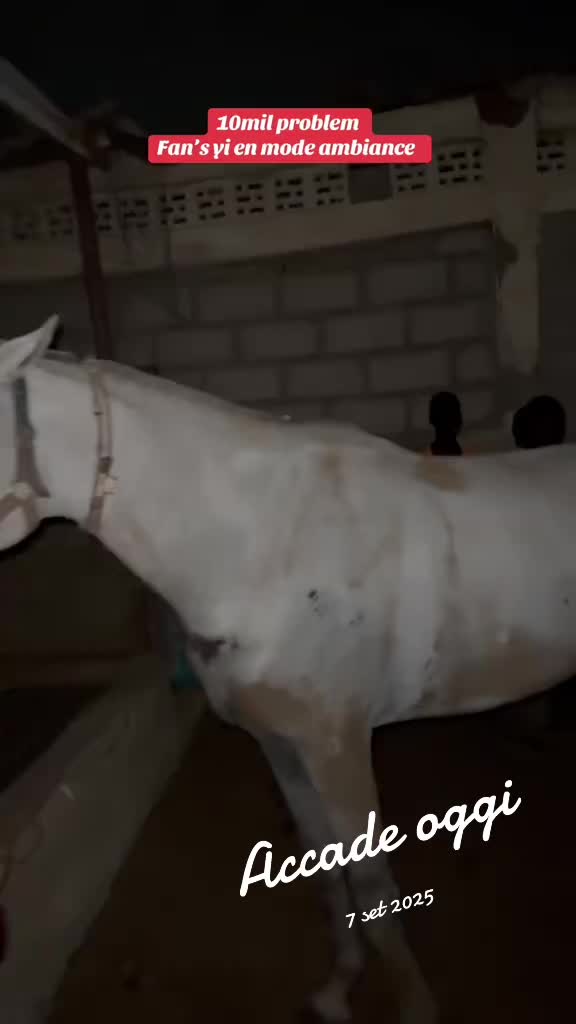 @10milproblem