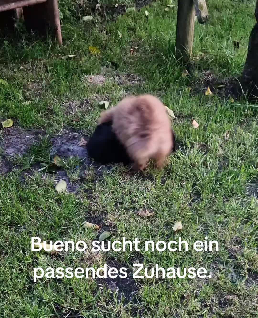 @Tanja