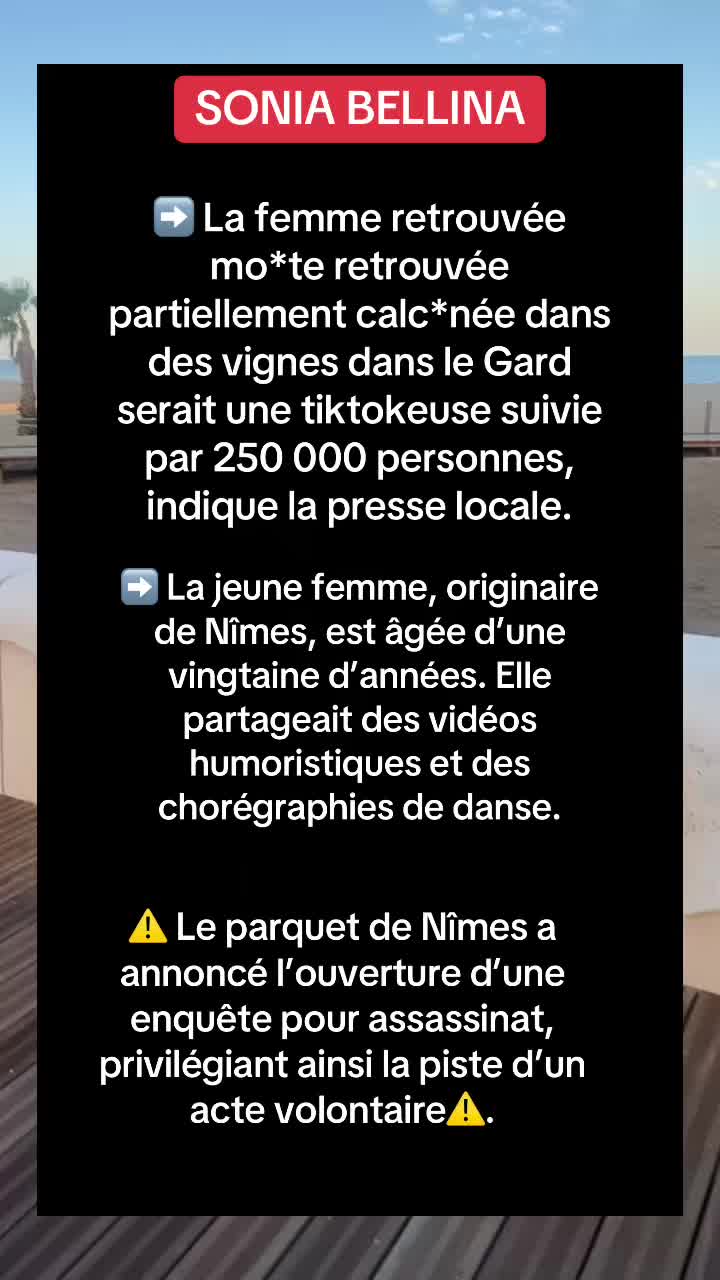 @🌼 Infonews 🌼