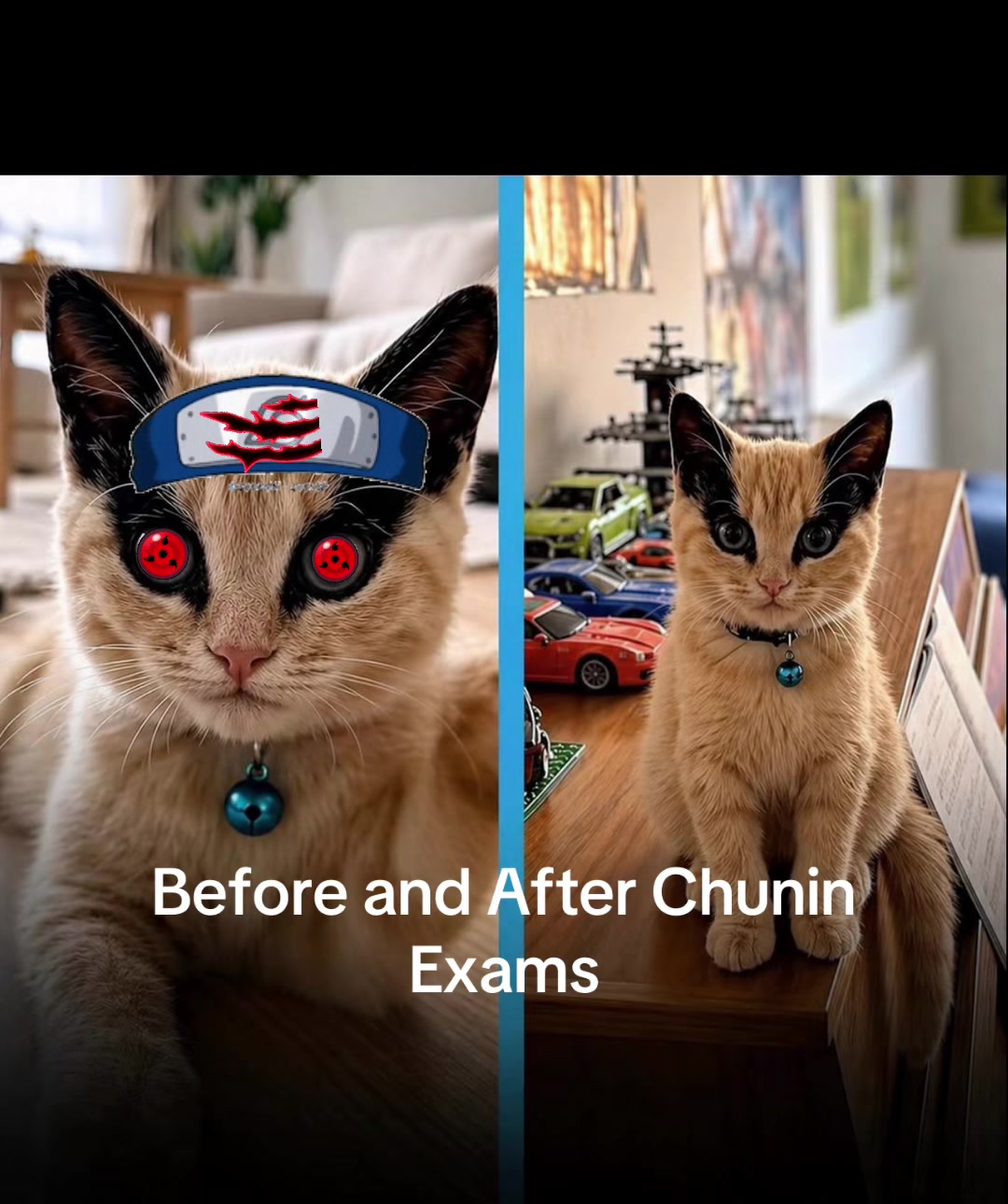 @Purrrrfect Moments
