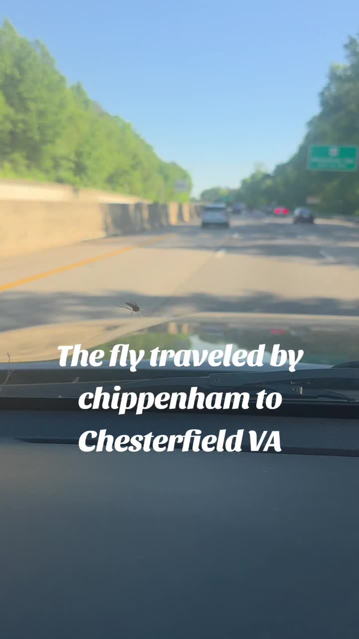 @Virginia USA 🇺🇸
