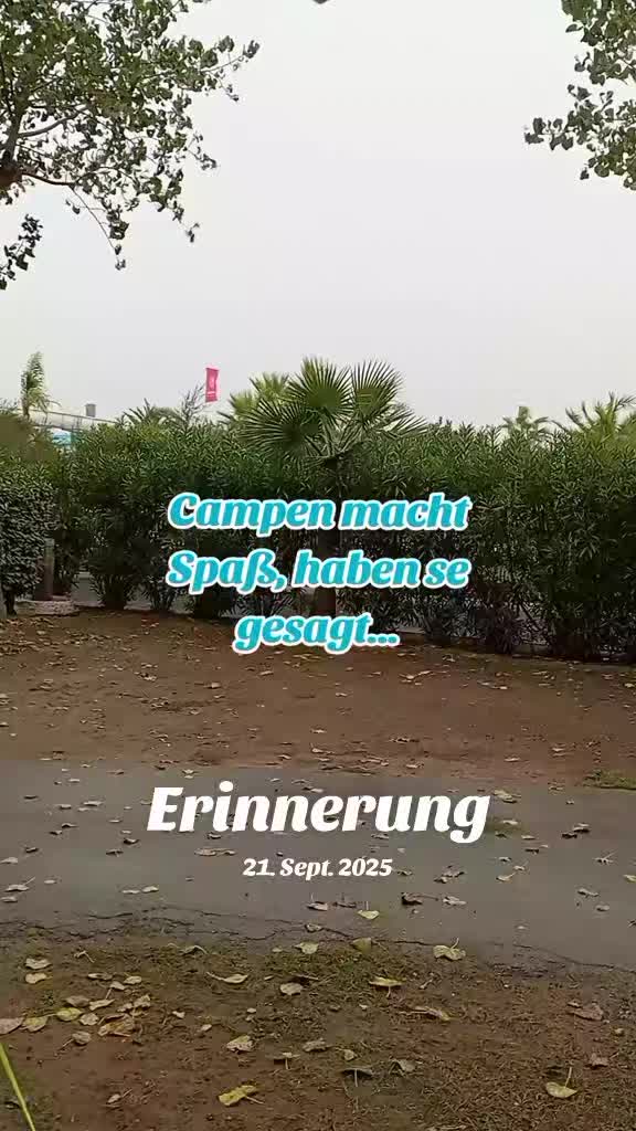 @Jenny