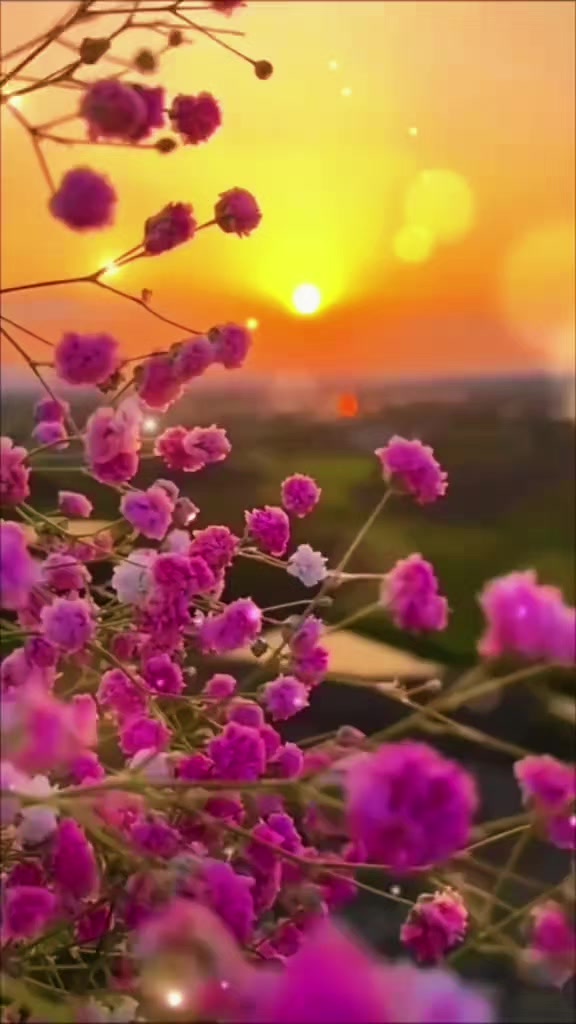 @🌸CvetocheK🌸