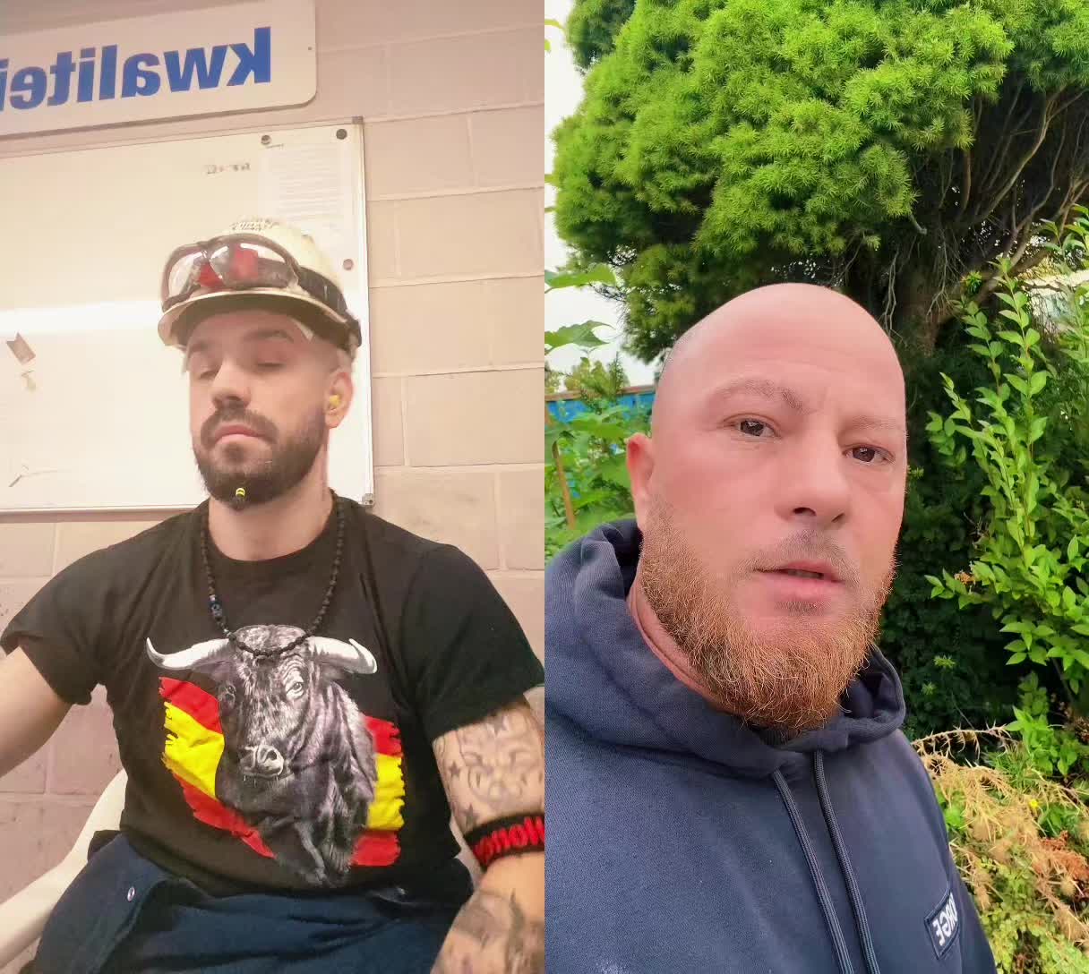 @Jhony - wolf alpha-fitness